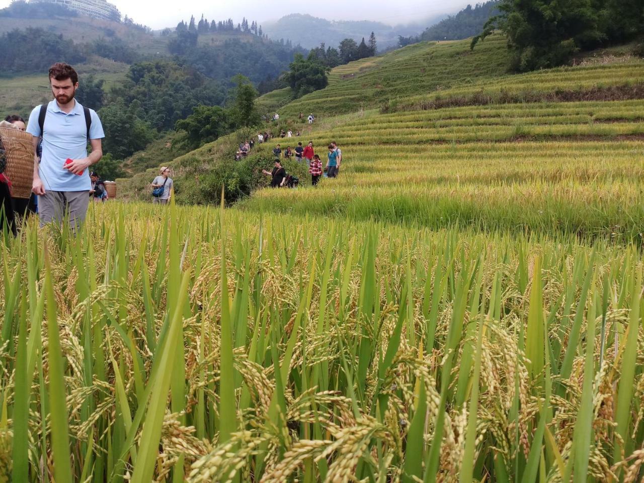 Tuongmai Home & Trekking Tour Sapa Exterior foto