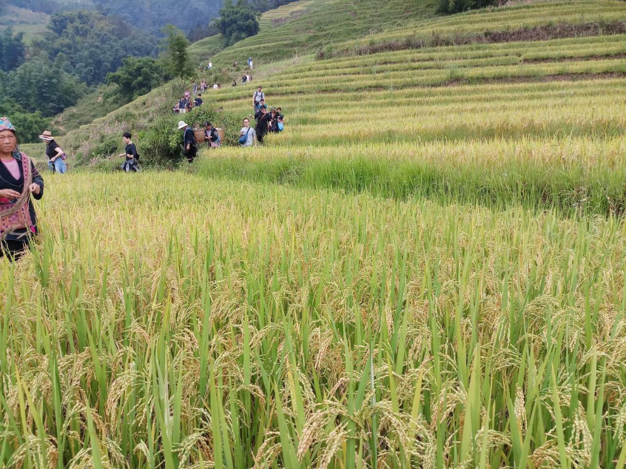 Tuongmai Home & Trekking Tour Sapa Exterior foto
